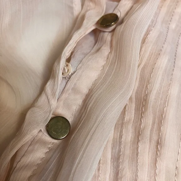 Blush Gauzy Chiffon Sheer Tunic Blouse with Buttons and Pleats​​​​ - Picture 16 of 16
